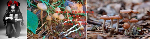таблы Баксан