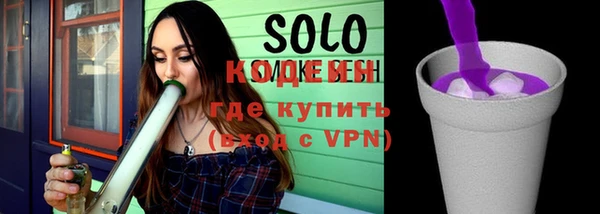 шишки Балахна