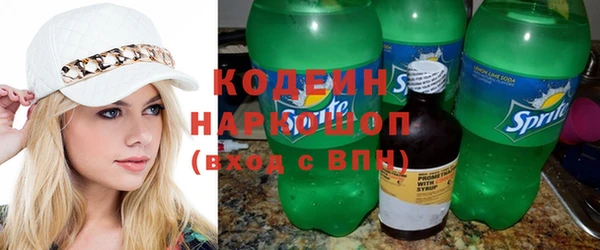 шишки Балахна