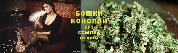 шишки Балахна
