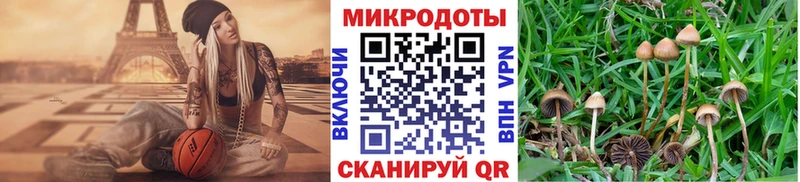 Галлюциногенные грибы Cubensis  Скопин 